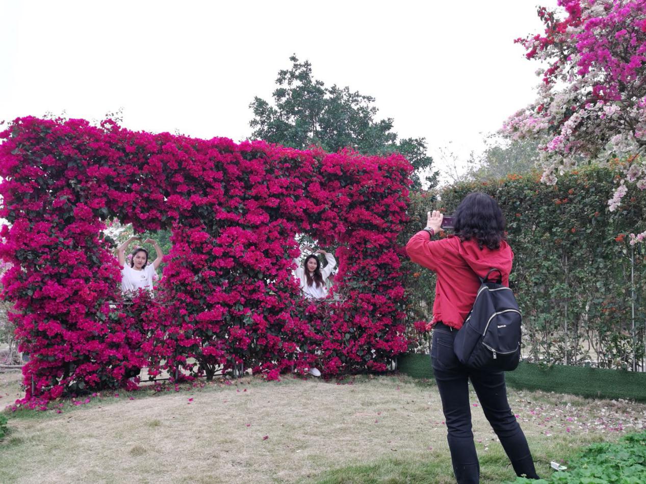 圖片9.jpg 圖片9.jpg